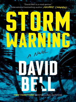 Storm Warning - ebook